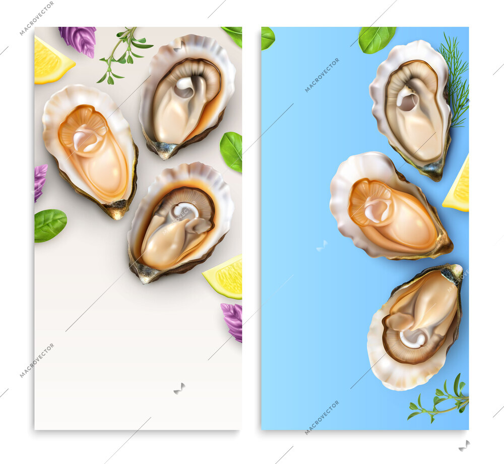 Oysters set of two vertical banners with realistic images seafood in shells served with lemon greens vector illustration