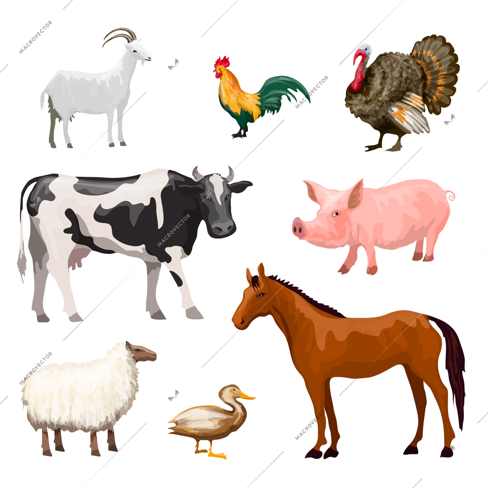 Farm animals decorative icons set with cow goose pig horse isolated vector illustration