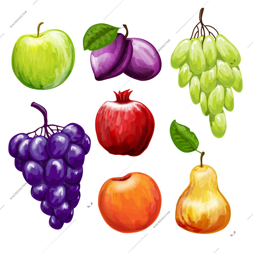 Fruits icons set with apple plum pomegranate grape pear peach isolated vector illustration