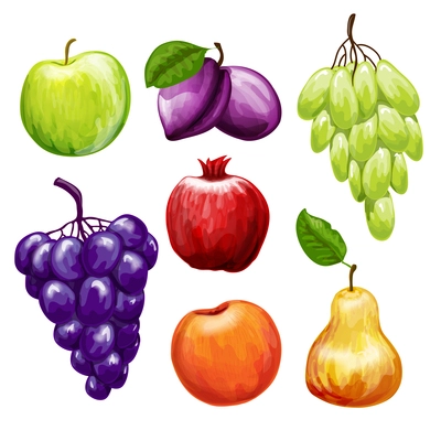 Fruits icons set with apple plum pomegranate grape pear peach isolated vector illustration