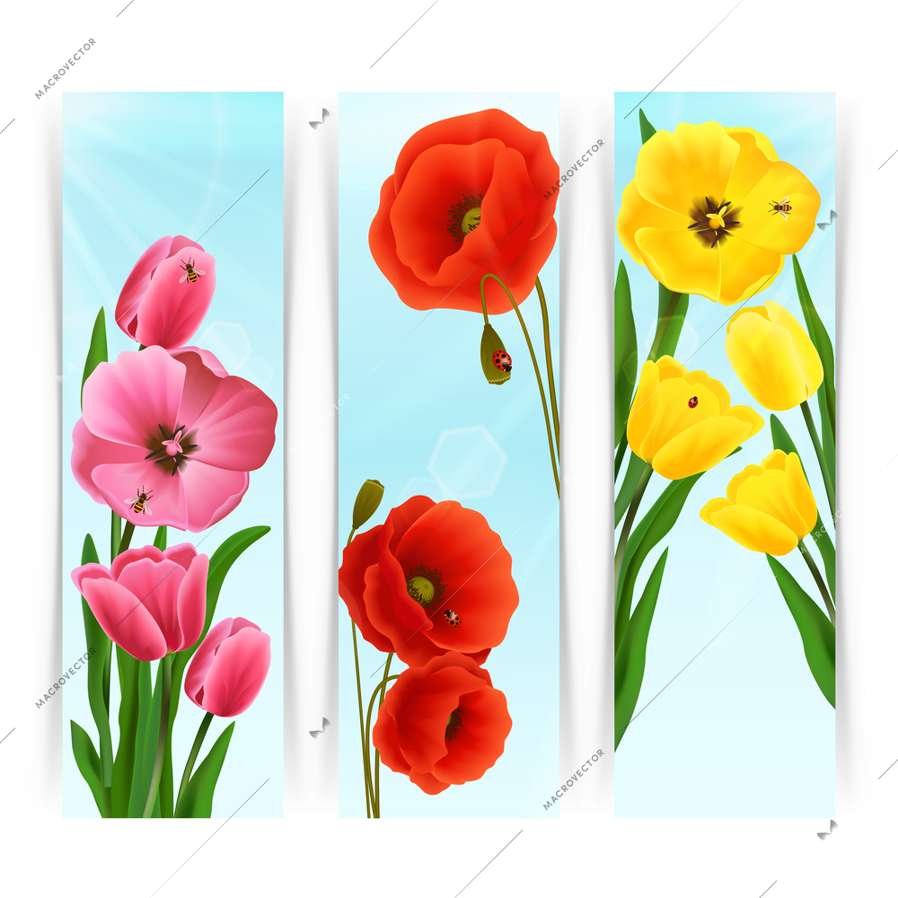 Floral banners vertical set with pink and yellow tulips and red poppy isolated vector illustration