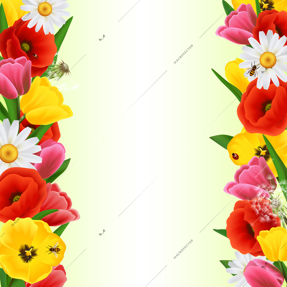 Decorative invitation card border from colorful tulip daisy and poppy flowers and insects isolated vector illustration