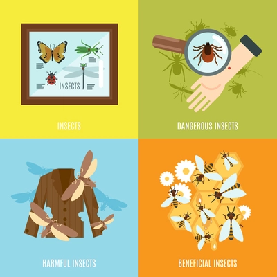 Insects design concept set with dangerous harmful and beneficial creatures flat icons isolated vector illustration