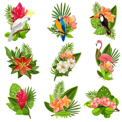 Exotic tropical flowers and birds icons collection with beautiful opulent green foliage arrangements abstract isolated vector illustration