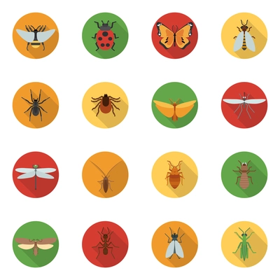 Insects icons flat set with dragonfly beetle woodlouse locust isolated vector illustration