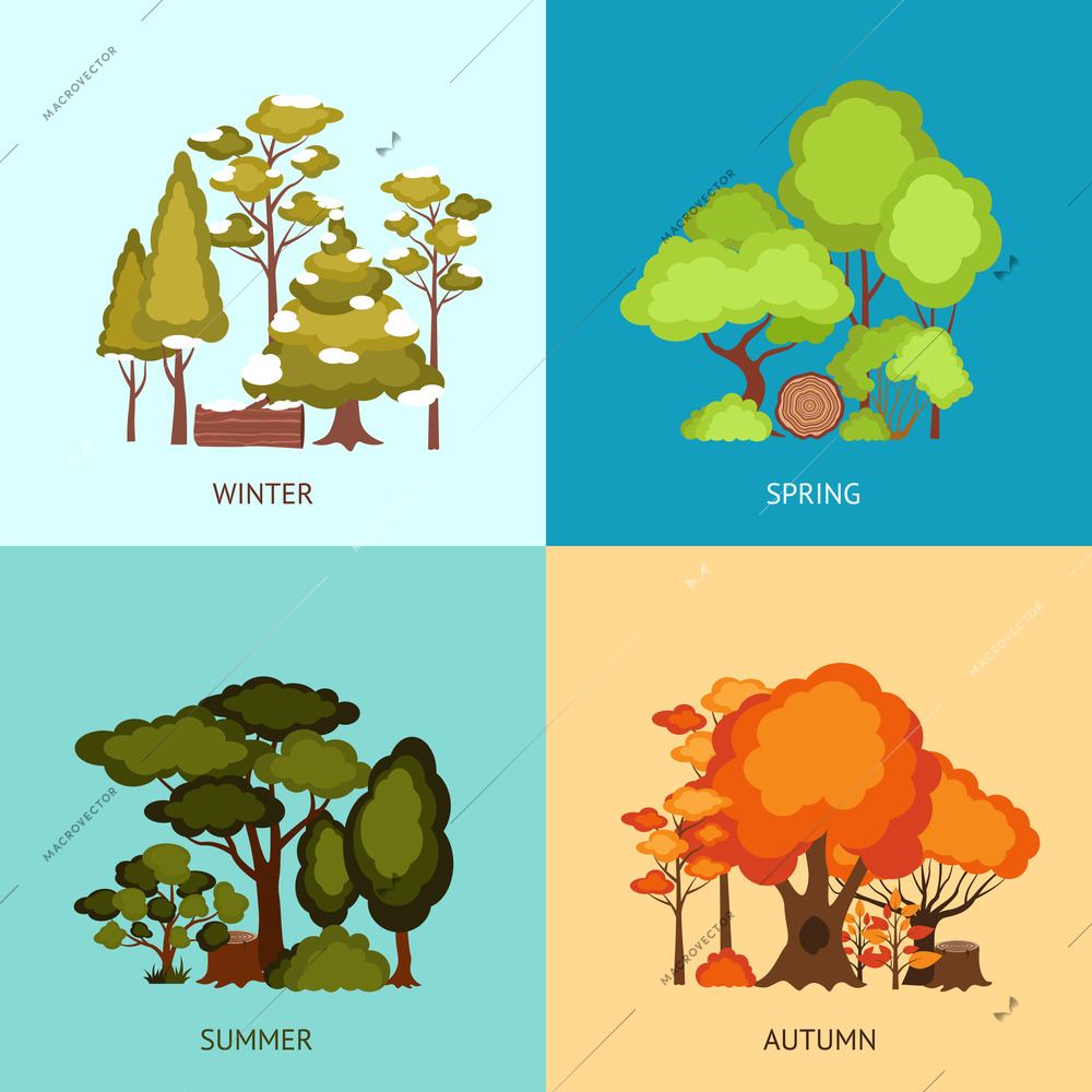 Forest design concept set with trees in different seasons flat icons isolated vector illustration