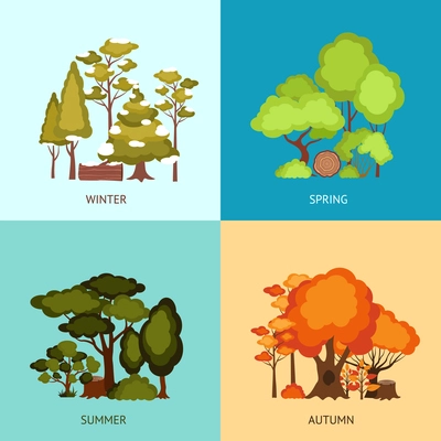 Forest design concept set with trees in different seasons flat icons isolated vector illustration