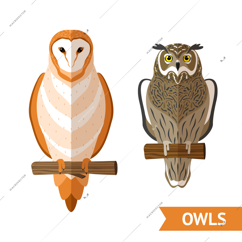 Two sitting owls front view flat decorative emblems set isolated vector illustration