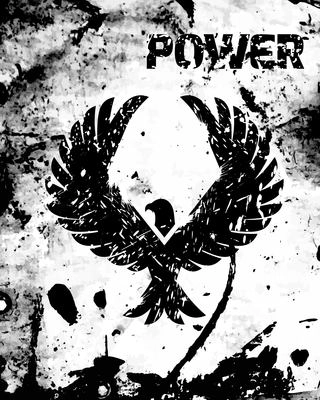 Eagle power poster with black bird silhouette and grunge ink background vector illustration