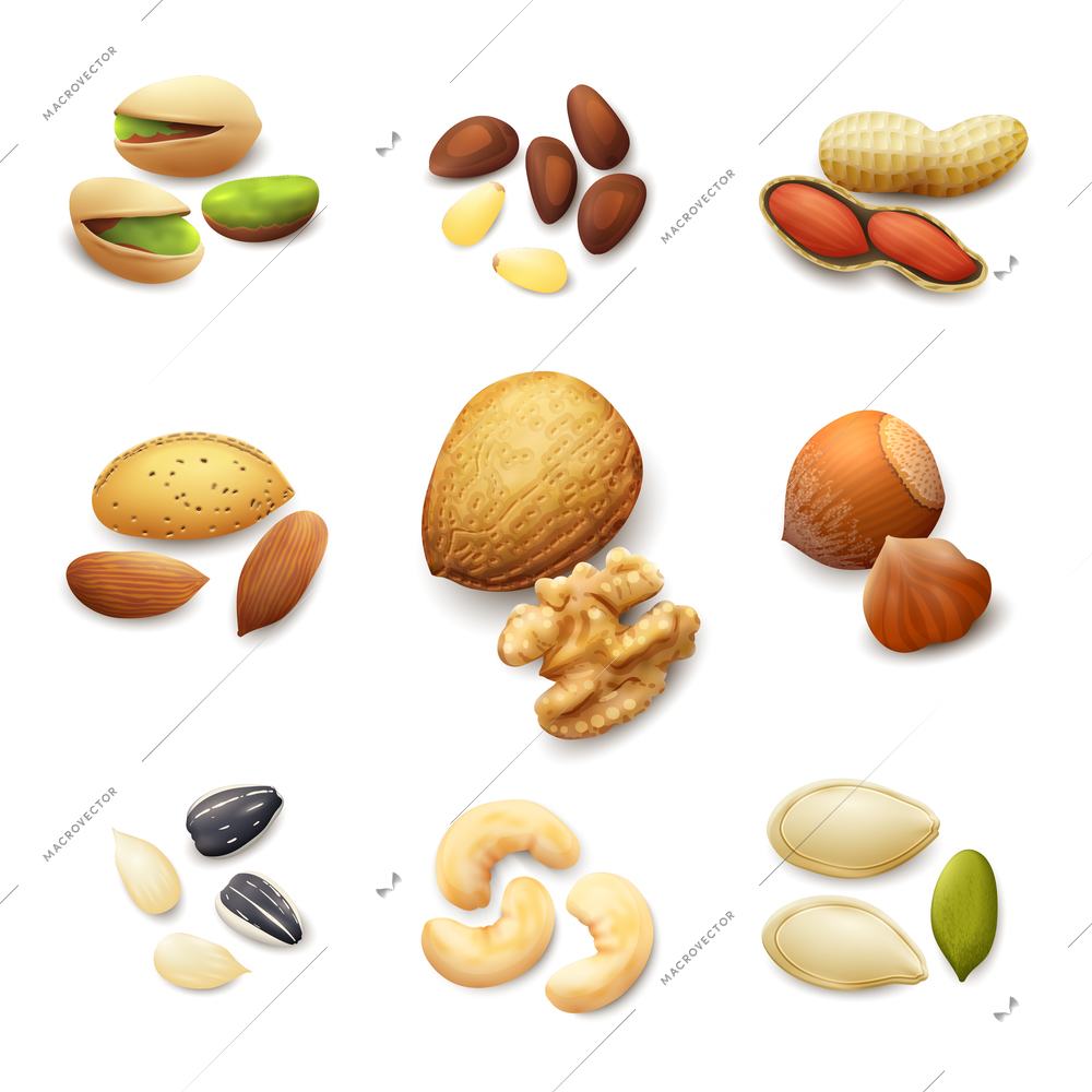 Nuts realistic set with pistachio almond walnut hazelnut isolated vector illustration