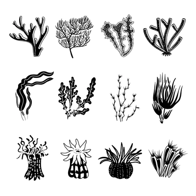 Tropical ocean coral black decorative icons set isolated vector illustration