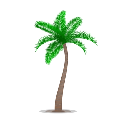 Tropical palm tree symbol isolated vector illustration