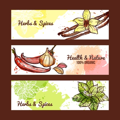 Natural organic herbs and spices horizontal banners set isolated vector illustration