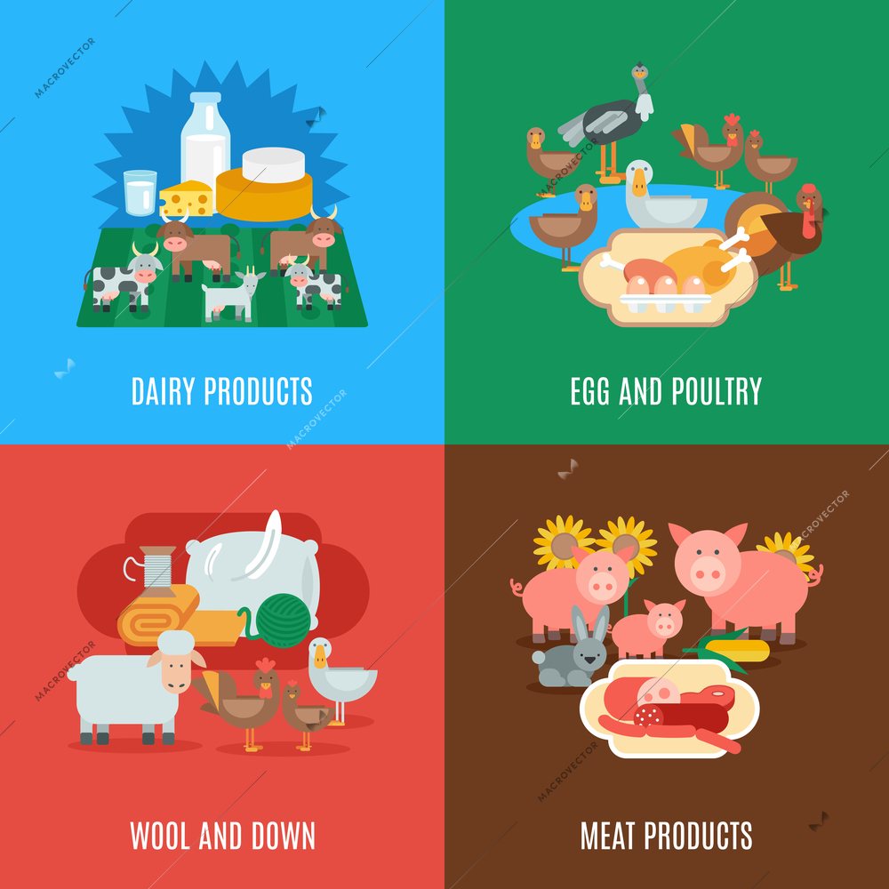 Domestic animal design concept set with dairy meat products eggs wool down and poultry flat icons isolated vector illustration