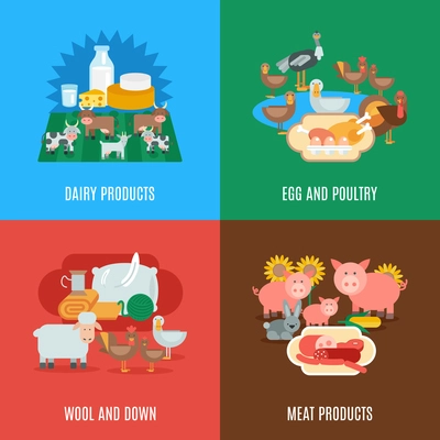 Domestic animal design concept set with dairy meat products eggs wool down and poultry flat icons isolated vector illustration