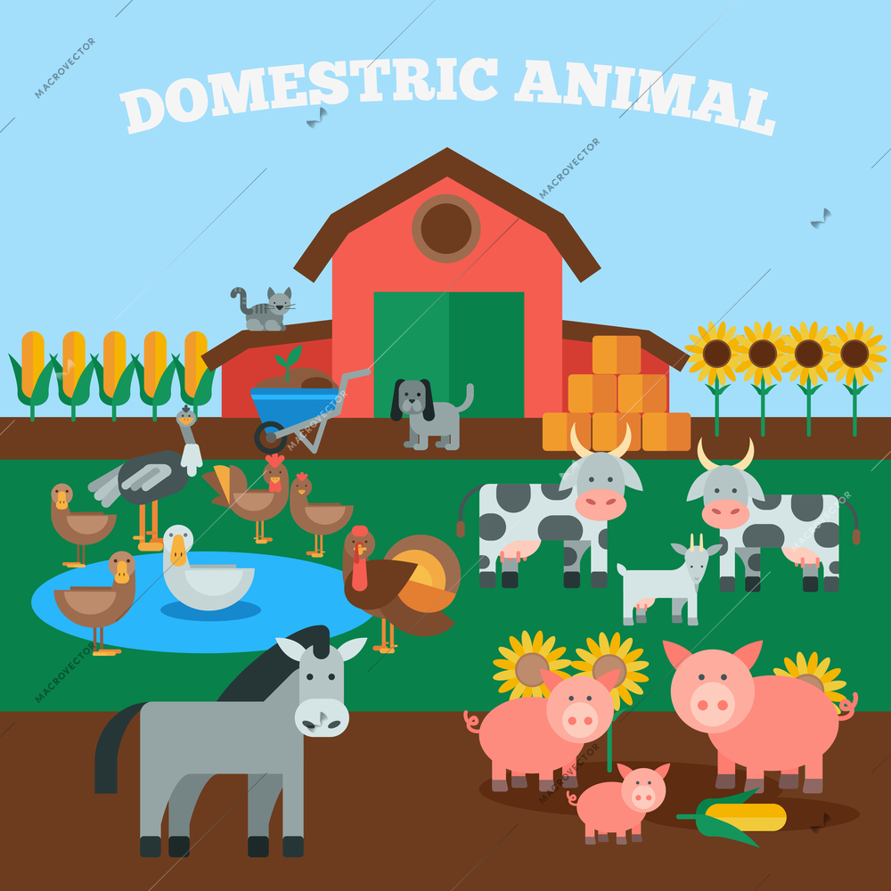 Farm livestock concept with flat domestic animals icons set vector illustration