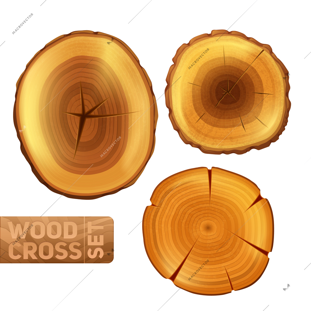 Wood logs cross section set with annual circles texture isolated vector illustration