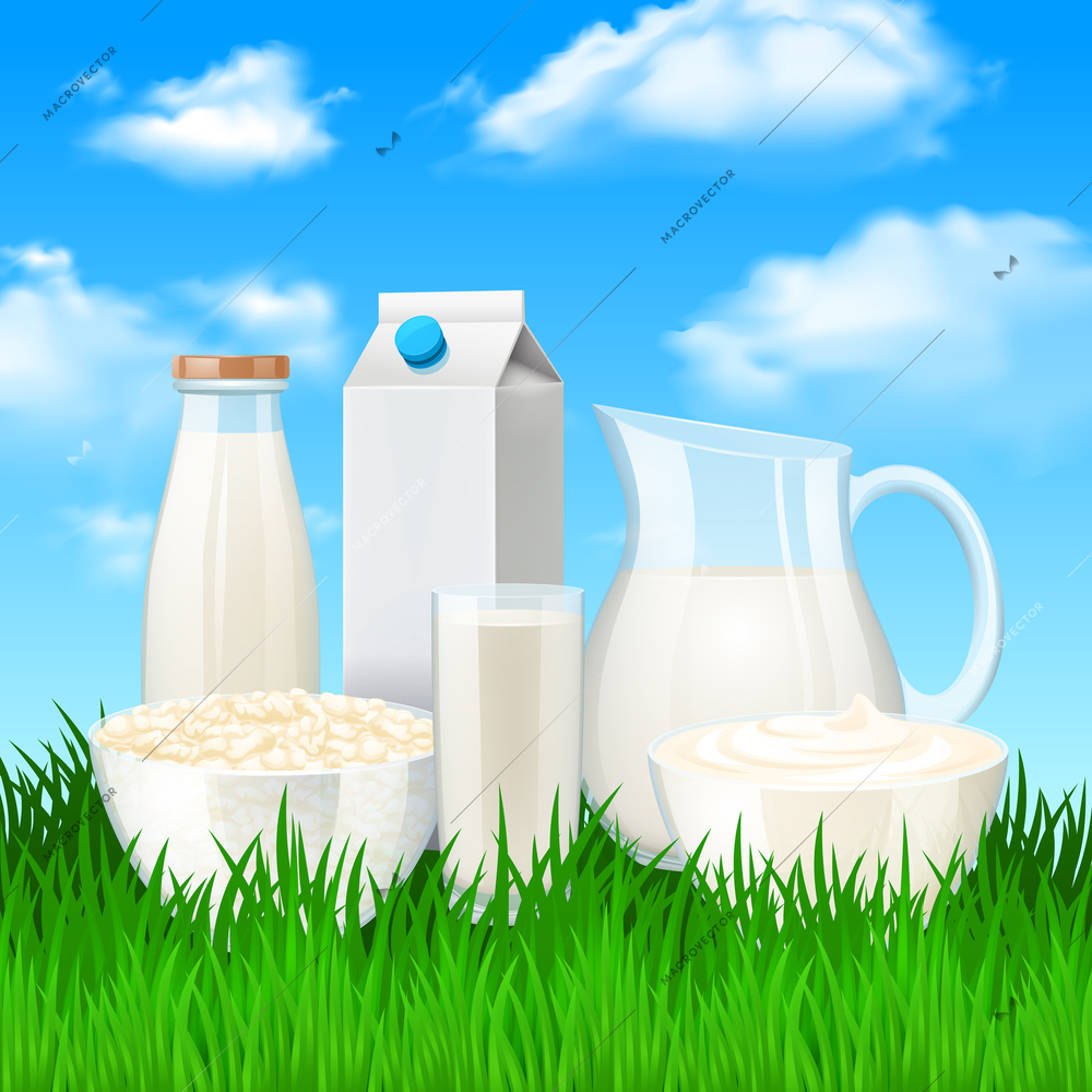 Milk and sour cream products on meadow background vector illustration