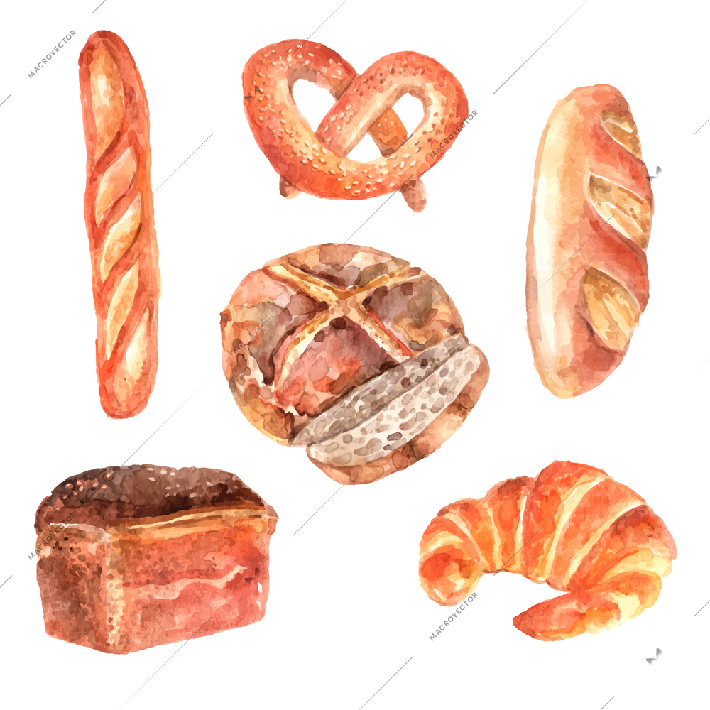 Fresh breads bakery advertisement watercolor pictograms collection of baguette and white loaf sketch abstract isolated vector illustration