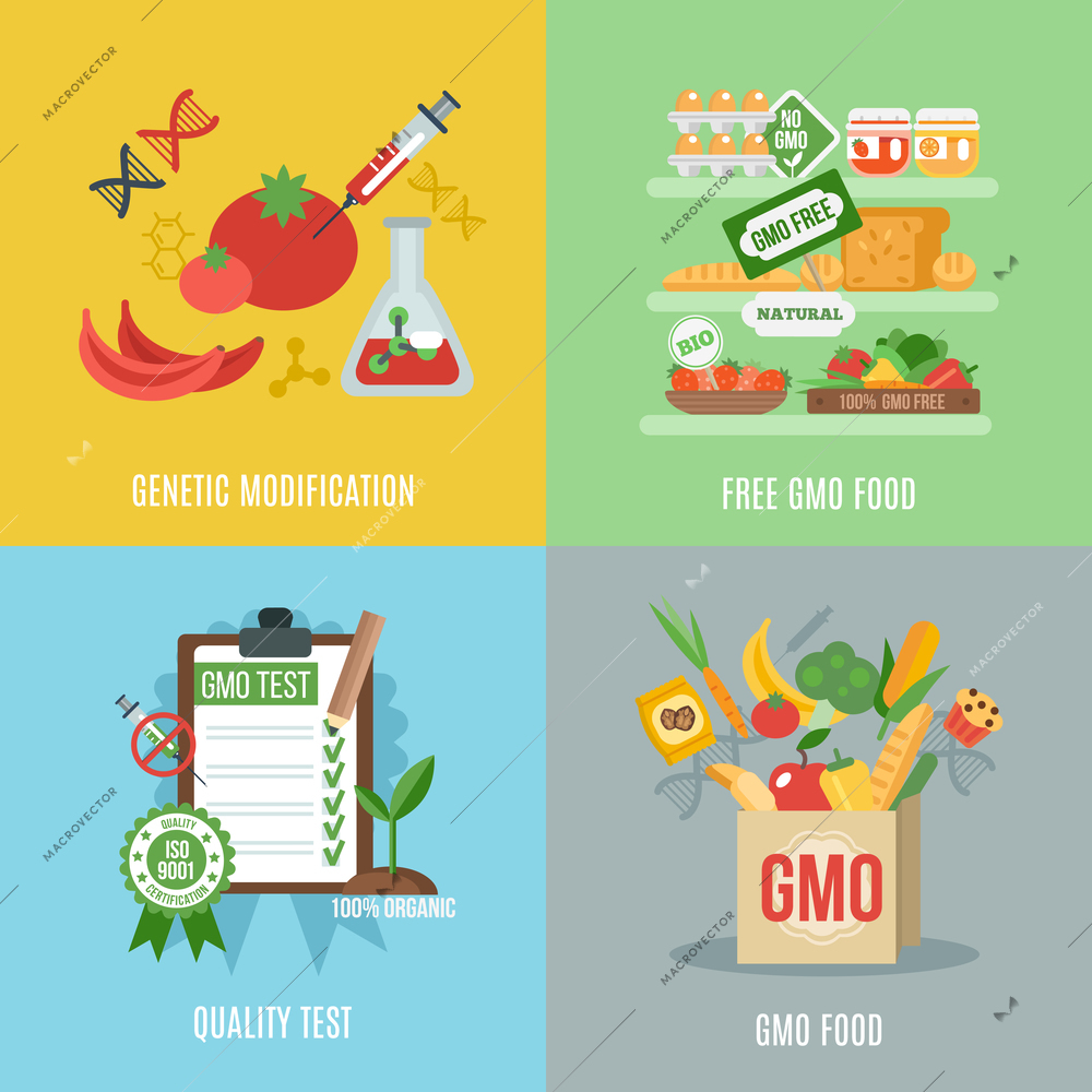 Gmo design concept set with food genetic modification flat icons isolated vector illustration