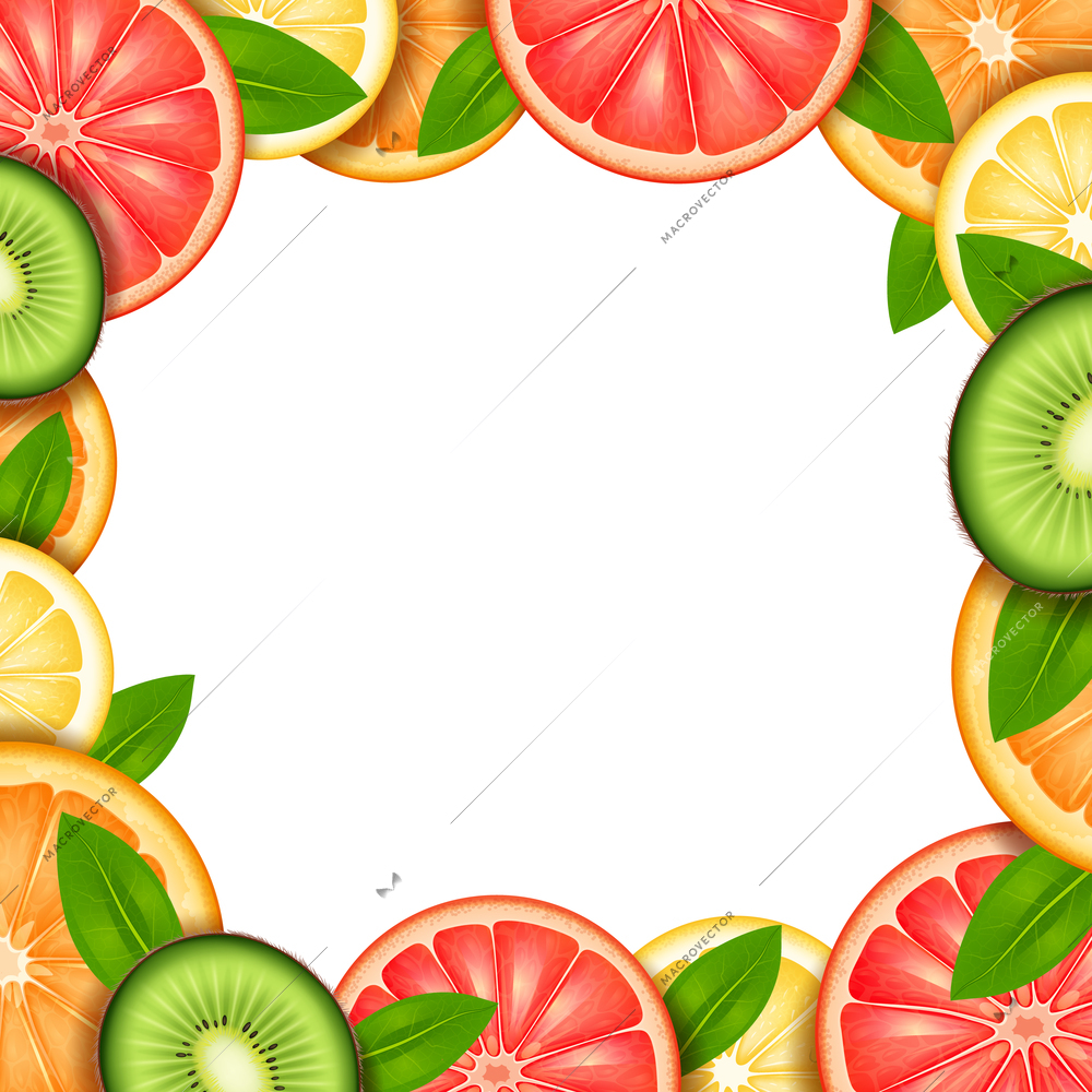 Fruit frame with sliced orange kiwi lemon and grapefruit border vector illustration