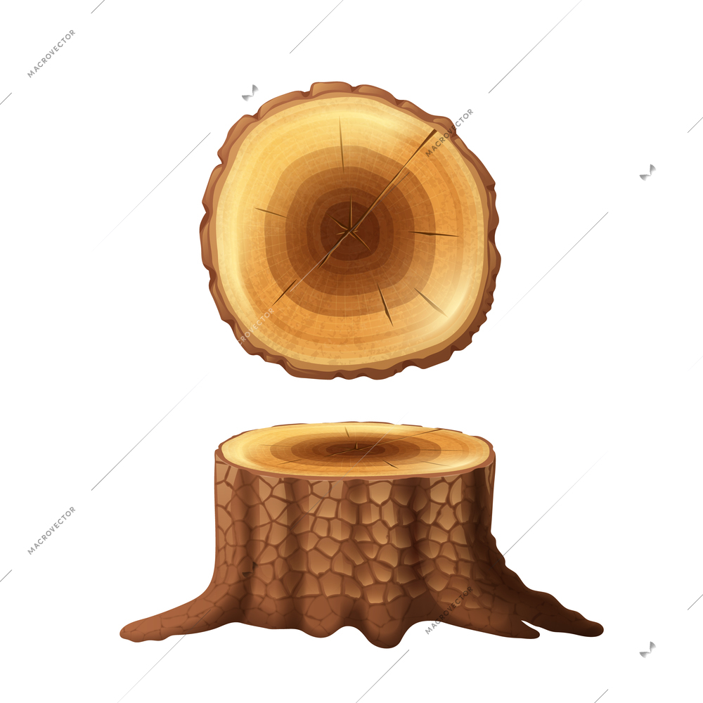 Old cut forest tree stump side drawn and cross section view icons set abstract isolated vector illustration