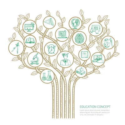 Education tree concept with learning and graduation sketch symbols vector illustration