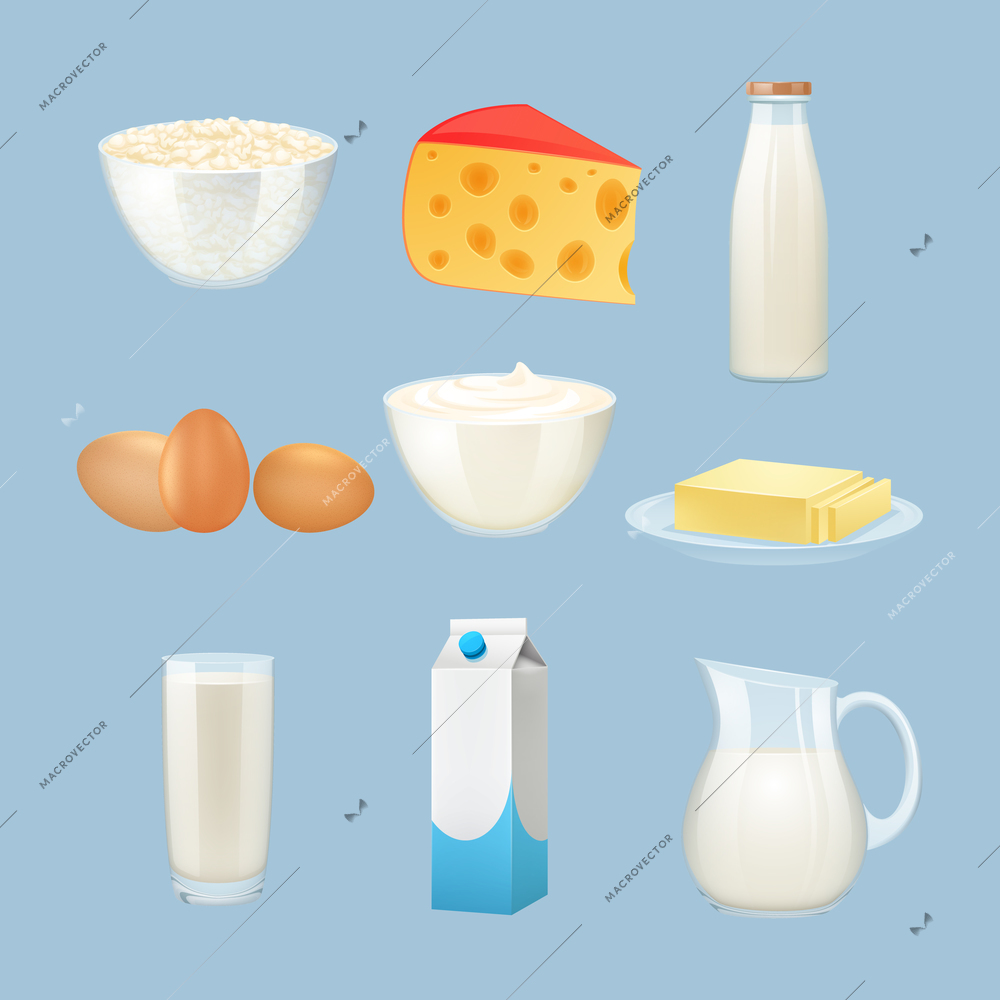 Milk products set with eggs cheese and cream isolated vector illustration