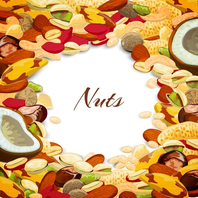 Nuts mix with coconut chestnut nutmeg peanut vector illustration