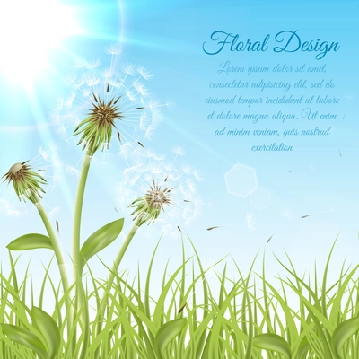 White dandelions on green grass with summer sun background vector illustration
