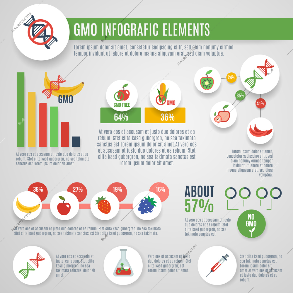 Gmo infographics set with nanotechnology laboratory food elements and charts vector illustration