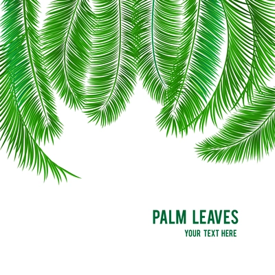 Tropical palm tree background banner template vector illustration
