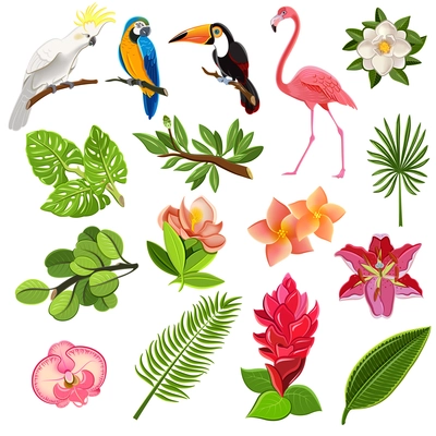 Exotic tropical leaves and parrots pictograms collection with orchids hibiscus and magnolia flowers buds abstract vector illustration