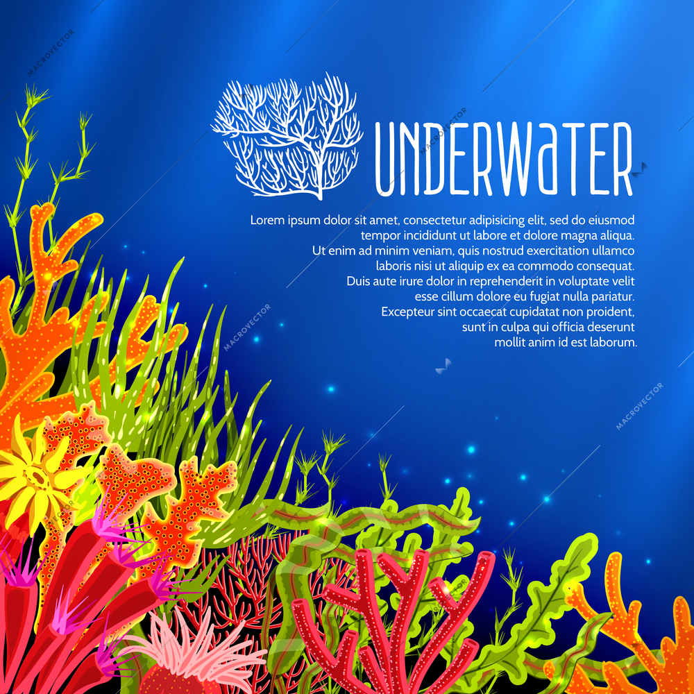 Underwater poster with colorful ocean corals and seaweed vector illustration