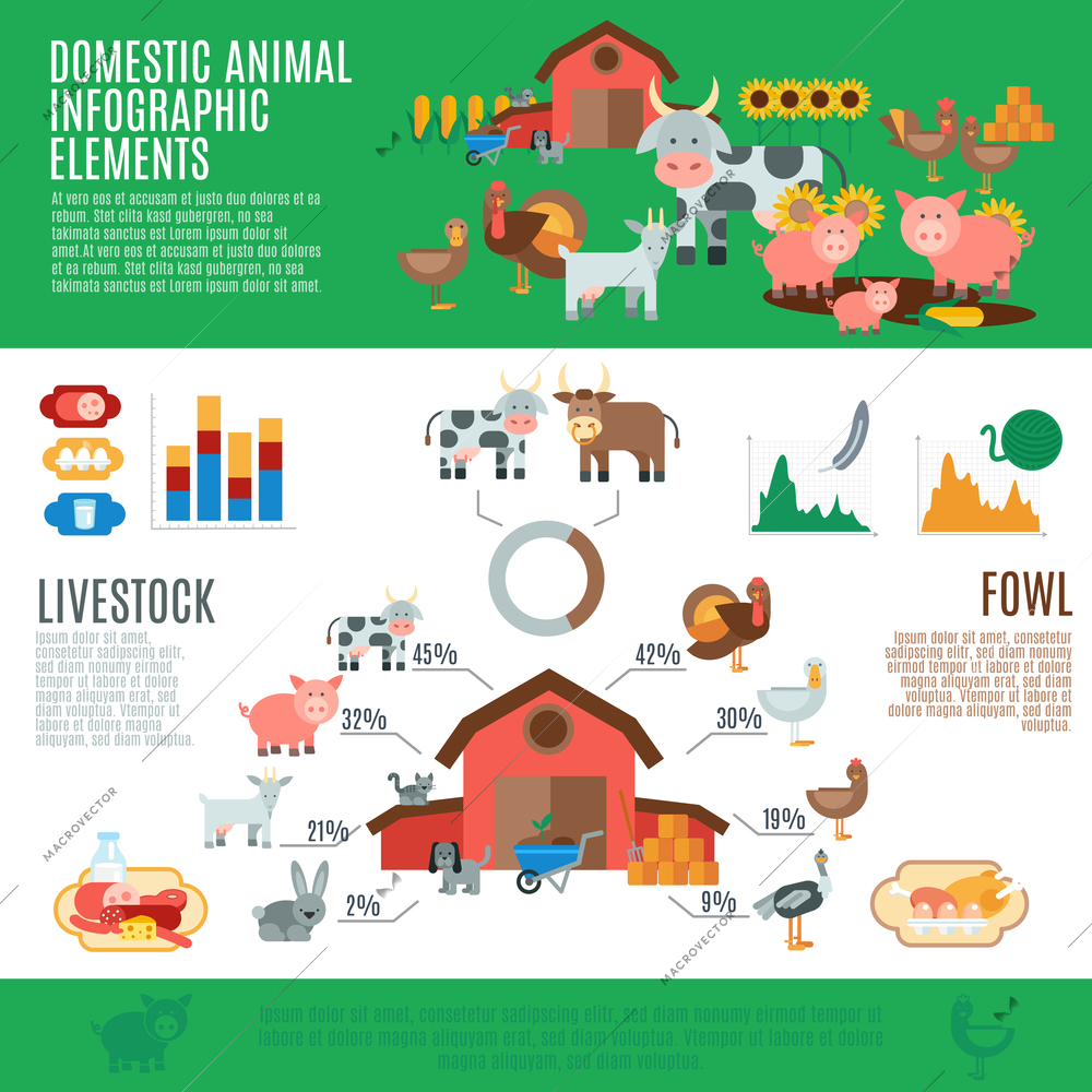 Domestic animals infographics set with livestock elements and charts vector illustration