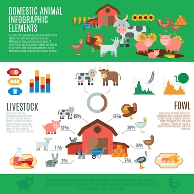 Domestic animals infographics set with livestock elements and charts vector illustration