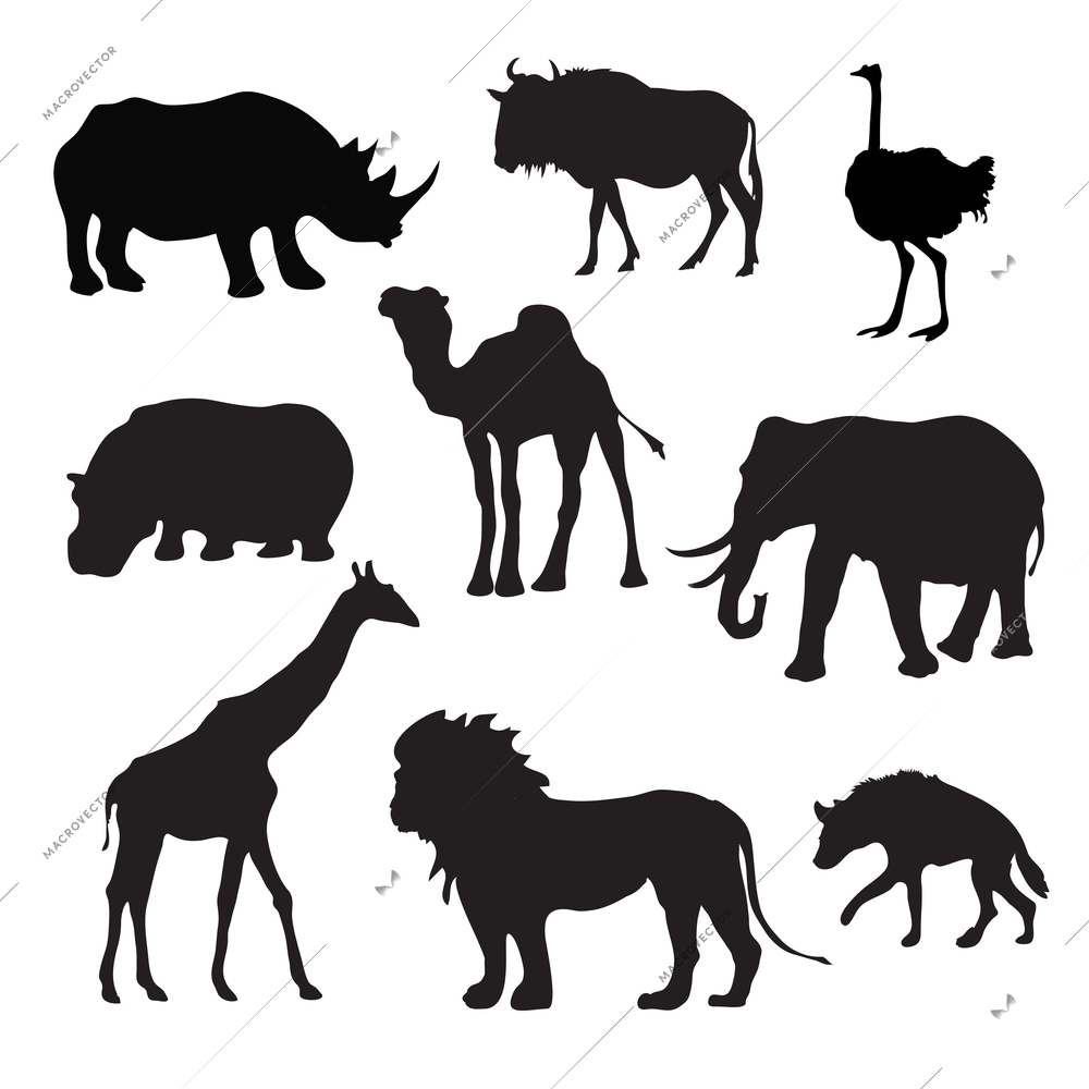 Wild african animals black silhouettes set with buffalo hippopotamus giraffe isolated vector illustration