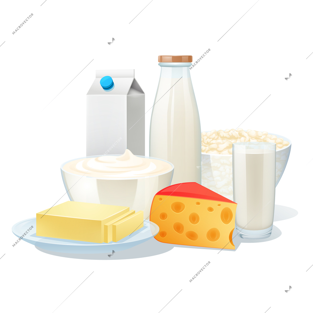 Fresh organic milk products set with cheese and butter vector illustration