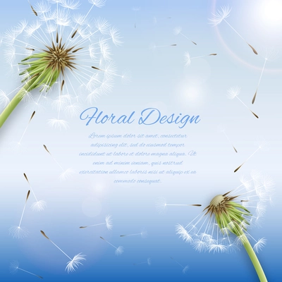 White dandelion with pollens background or cover template vector illustration