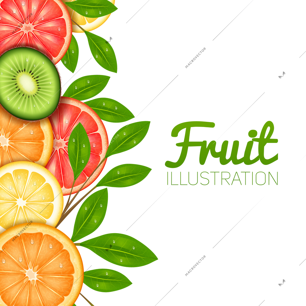 Summer fruit  poster with cut lemon orange grapefruit and kiwi vector illustration