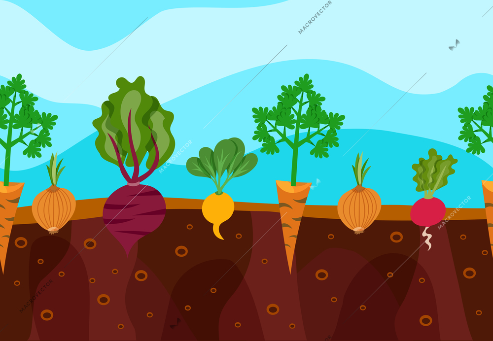 Vegetables decorative icons set growing in garden soil vector illustration