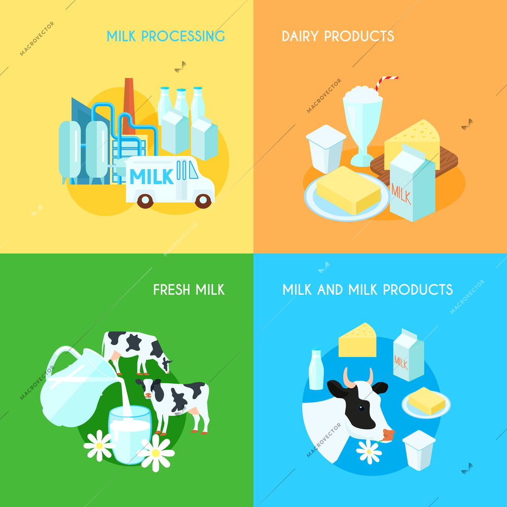 Fresh milk dairy products processing and transportation 4 flat icons square composition banner abstract isolated vector illustration. Editable EPS and Render in JPG format