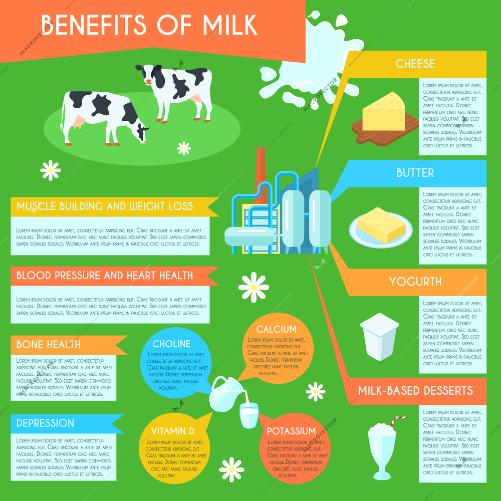 Health benefits of milk and dairy low fat products consumption infographic layout informative poster abstract vector illustration