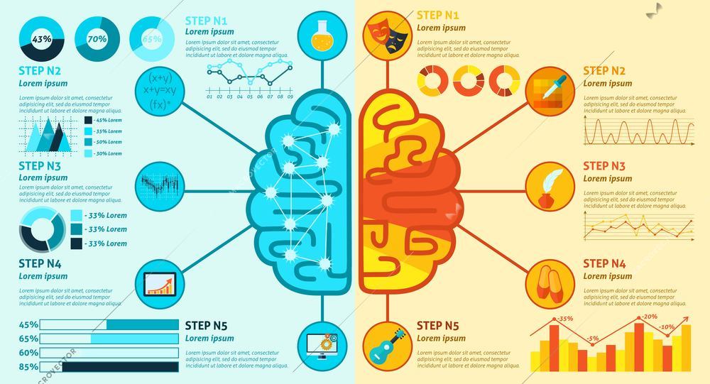 Left and right brain hemisphere functions infographics set with charts vector illustration