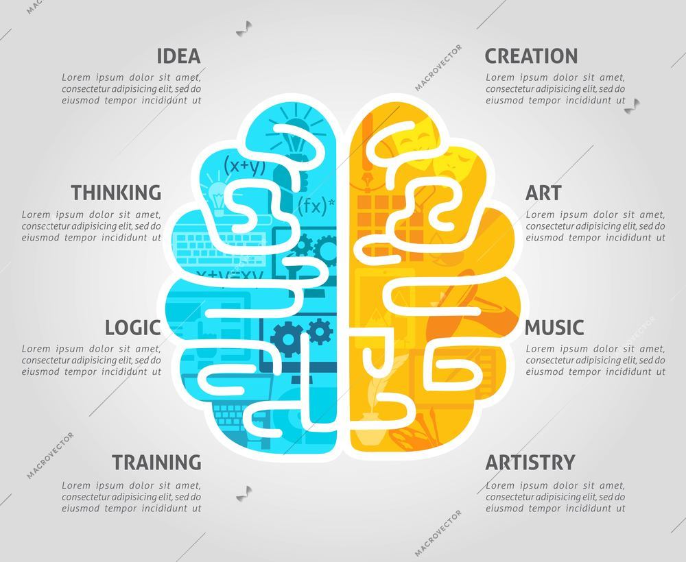 Brain function concept with left intellectual and right emotional hemispheres flat vector illustration