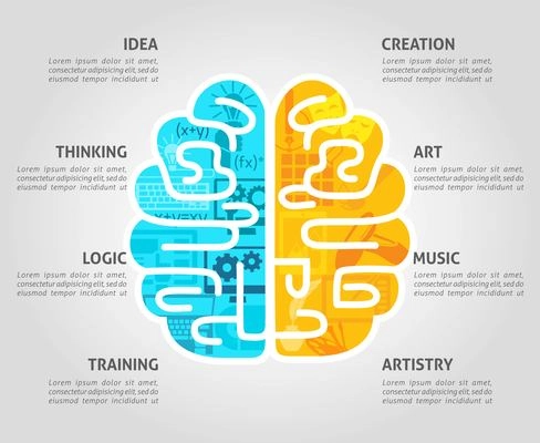 Brain function concept with left intellectual and right emotional hemispheres flat vector illustration