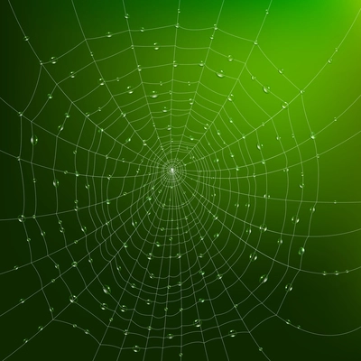 Realistic spider web with water drops on green background vector illustration