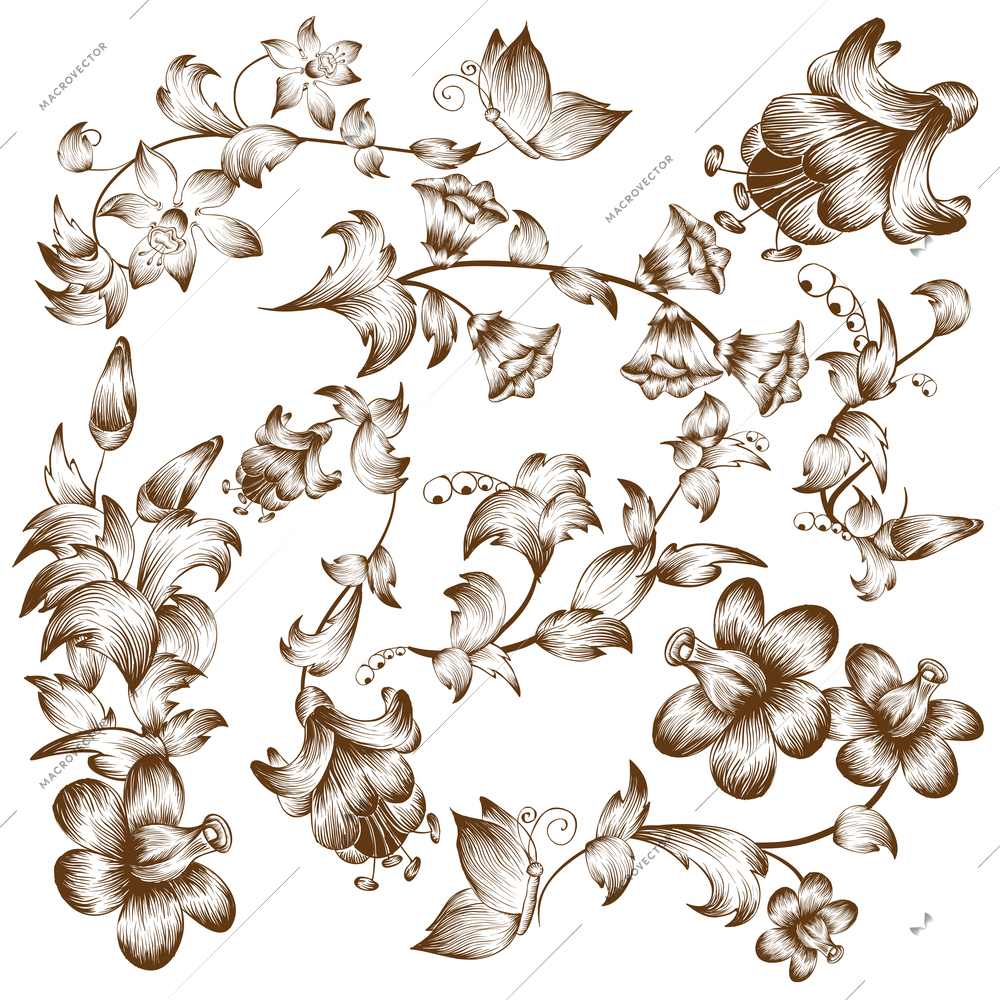 Vintage sepia calligraphic design leaf and flower elements vector illustration.
