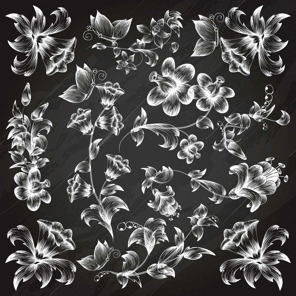 Chalkboard black and white floral ornate elements template vector illustration