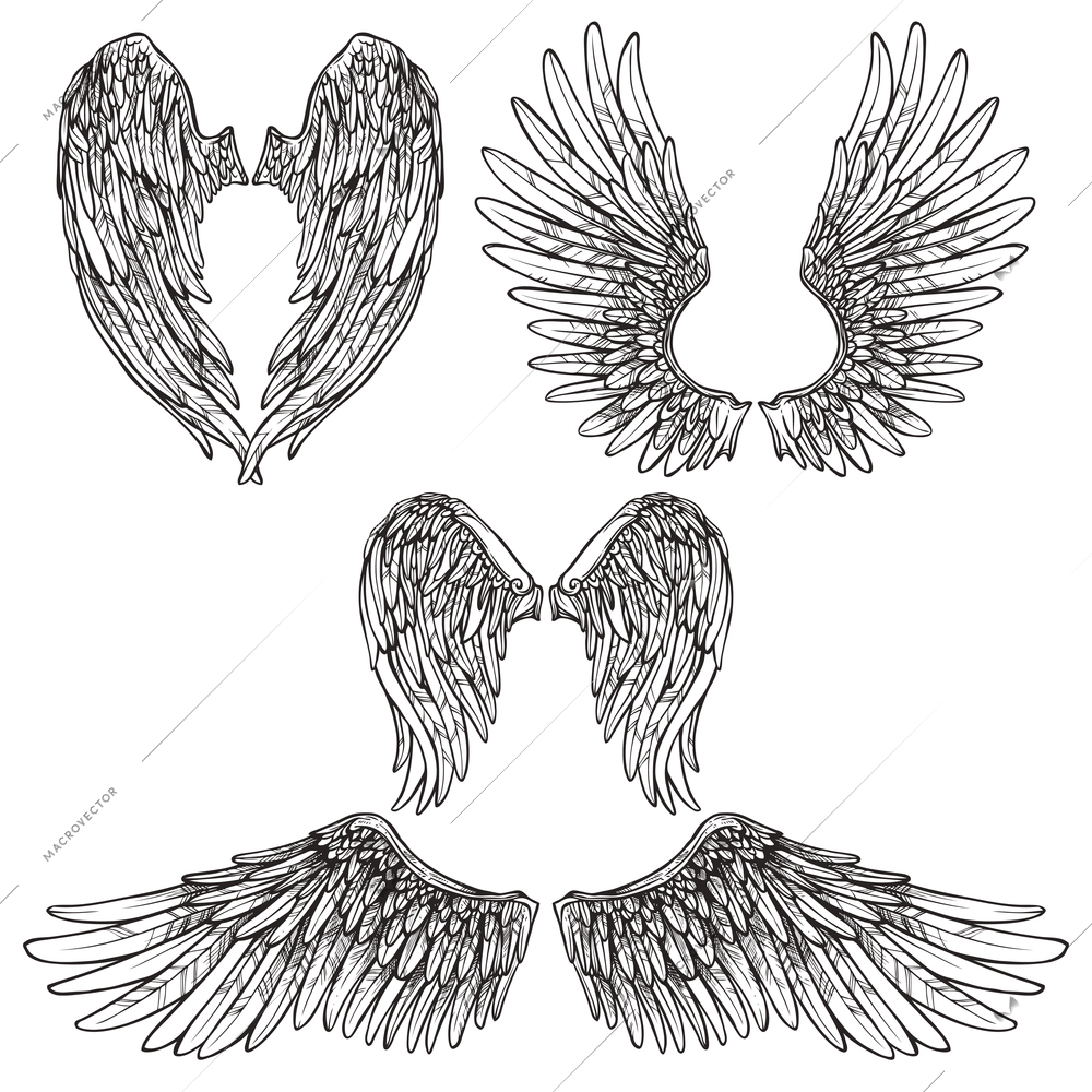 Angel or bird wings abstract sketch set isolated vector illustration